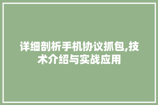 详细剖析手机协议抓包,技术介绍与实战应用