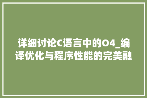 详细讨论C语言中的O4_编译优化与程序性能的完美融合 百度SEO