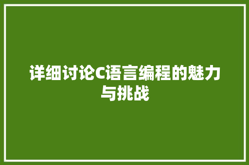 详细讨论C语言编程的魅力与挑战 网站建设公司