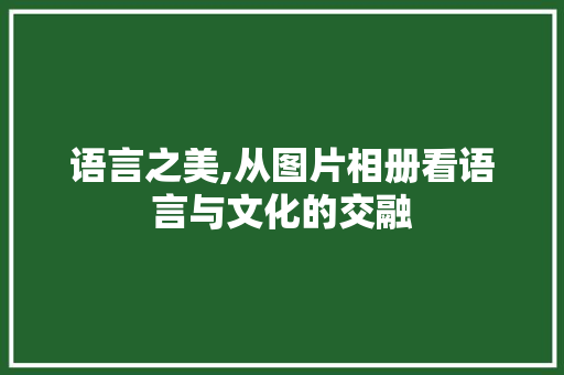 语言之美,从图片相册看语言与文化的交融