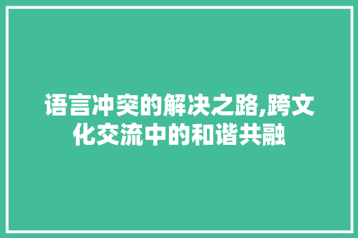 语言冲突的解决之路,跨文化交流中的和谐共融