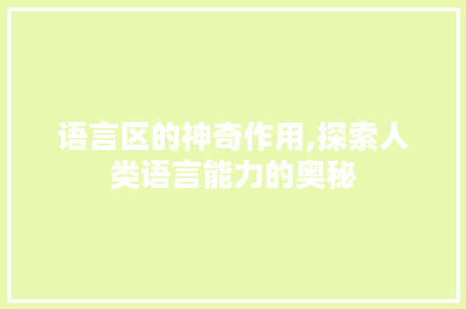 语言区的神奇作用,探索人类语言能力的奥秘