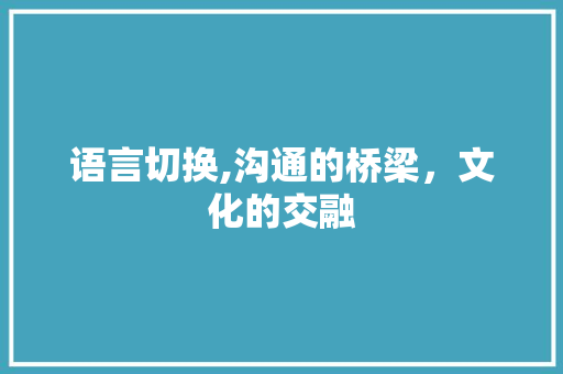 语言切换,沟通的桥梁，文化的交融