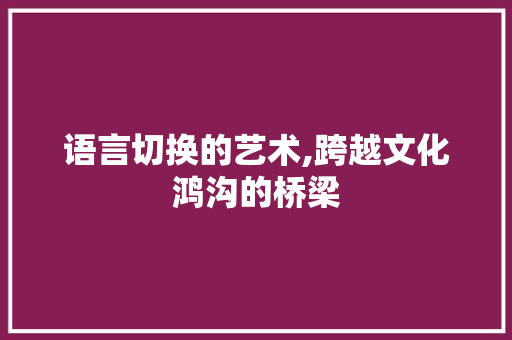 语言切换的艺术,跨越文化鸿沟的桥梁