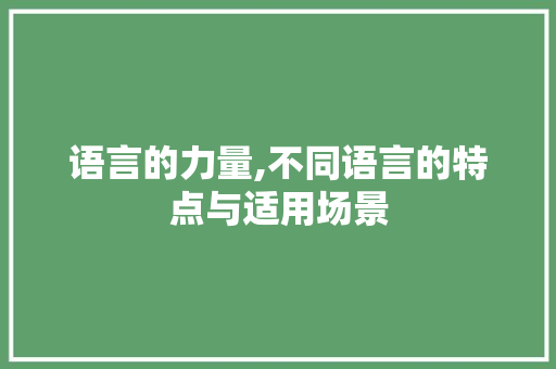 语言的力量,不同语言的特点与适用场景
