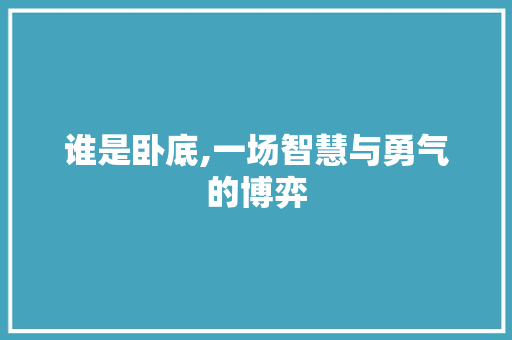 谁是卧底,一场智慧与勇气的博弈 神马SEO