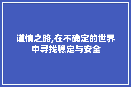 谨慎之路,在不确定的世界中寻找稳定与安全 神马SEO