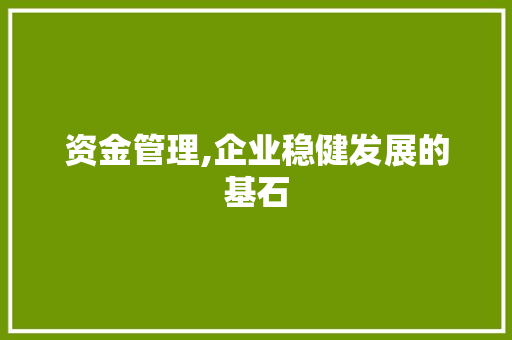 资金管理,企业稳健发展的基石 神马SEO