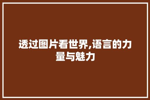透过图片看世界,语言的力量与魅力