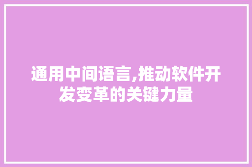 通用中间语言,推动软件开发变革的关键力量 必应SEO