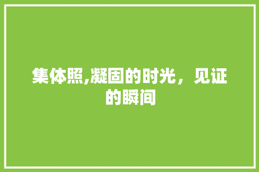 集体照,凝固的时光，见证的瞬间