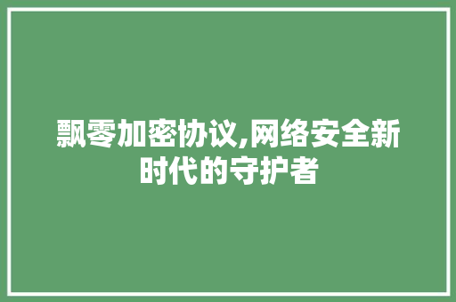 飘零加密协议,网络安全新时代的守护者 必应SEO