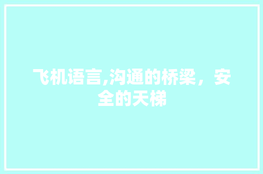 飞机语言,沟通的桥梁，安全的天梯 神马SEO