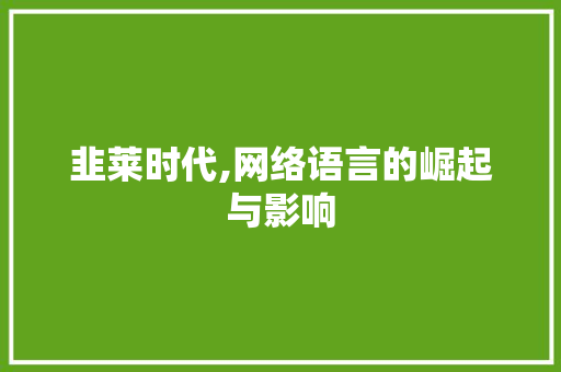 韭莱时代,网络语言的崛起与影响 神马SEO
