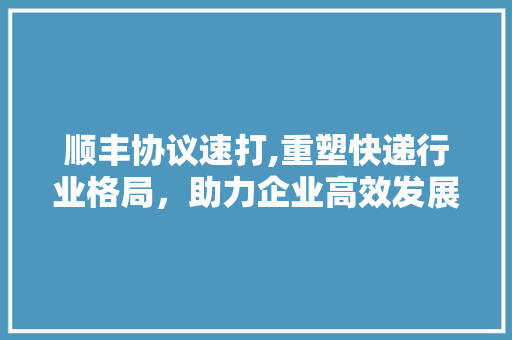 顺丰协议速打,重塑快递行业格局，助力企业高效发展 百度SEO