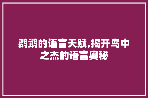 鹦鹉的语言天赋,揭开鸟中之杰的语言奥秘 搜狗SEO