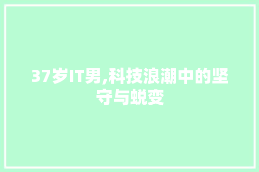 37岁IT男,科技浪潮中的坚守与蜕变