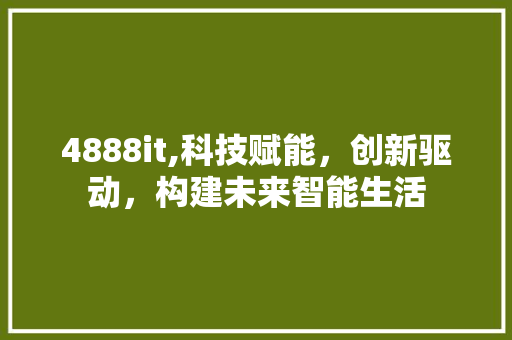 4888it,科技赋能，创新驱动，构建未来智能生活