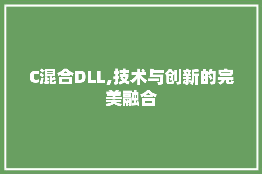C混合DLL,技术与创新的完美融合 必应SEO