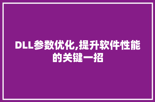 DLL参数优化,提升软件性能的关键一招