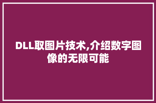 DLL取图片技术,介绍数字图像的无限可能