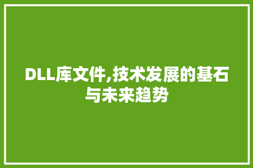 DLL库文件,技术发展的基石与未来趋势