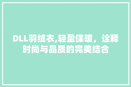 DLL羽绒衣,轻盈保暖，诠释时尚与品质的完美结合 神马SEO