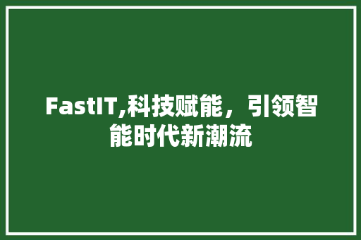 FastIT,科技赋能，引领智能时代新潮流 SEO关键词