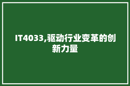 IT4033,驱动行业变革的创新力量