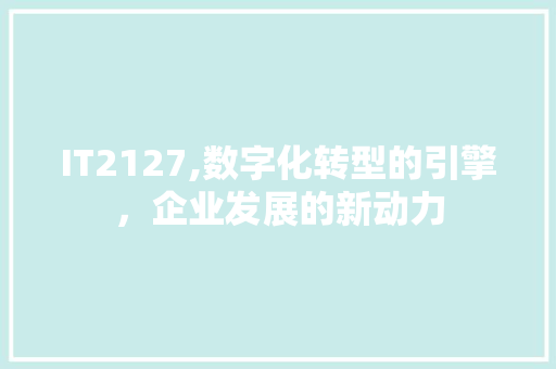 IT2127,数字化转型的引擎，企业发展的新动力