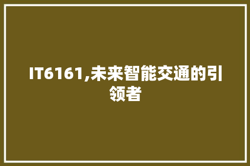 IT6161,未来智能交通的引领者