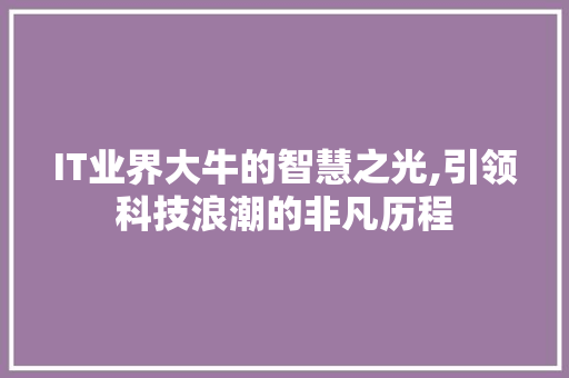IT业界大牛的智慧之光,引领科技浪潮的非凡历程 SEO关键词