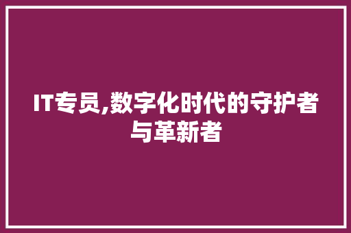 IT专员,数字化时代的守护者与革新者 网站建设公司
