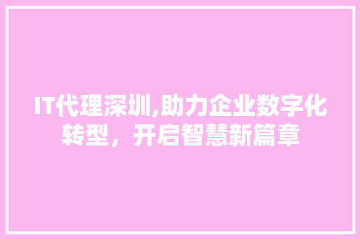 IT代理深圳,助力企业数字化转型，开启智慧新篇章