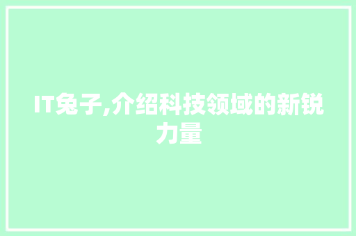 IT兔子,介绍科技领域的新锐力量 百度SEO