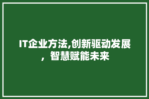 IT企业方法,创新驱动发展，智慧赋能未来