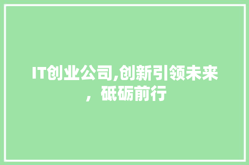 IT创业公司,创新引领未来，砥砺前行 神马SEO