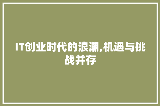 IT创业时代的浪潮,机遇与挑战并存 网站建设公司