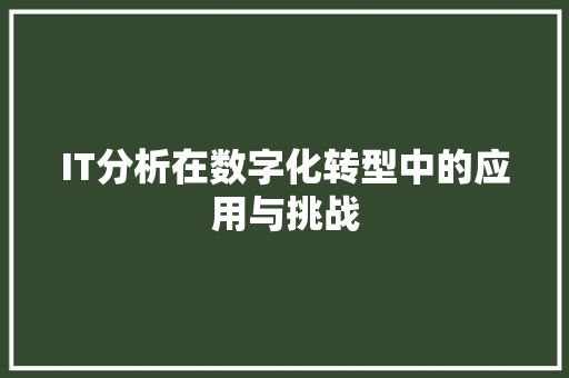 IT分析在数字化转型中的应用与挑战 神马SEO