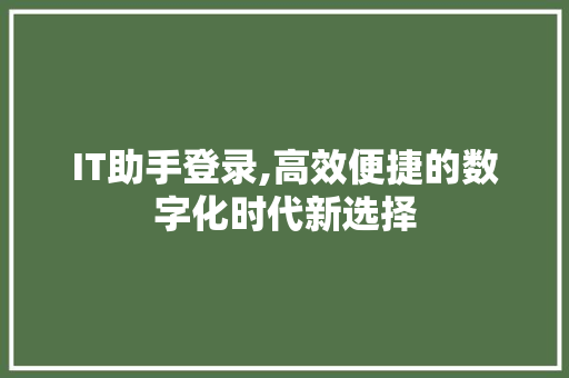 IT助手登录,高效便捷的数字化时代新选择 神马SEO