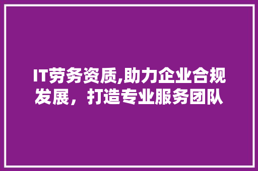 IT劳务资质,助力企业合规发展，打造专业服务团队