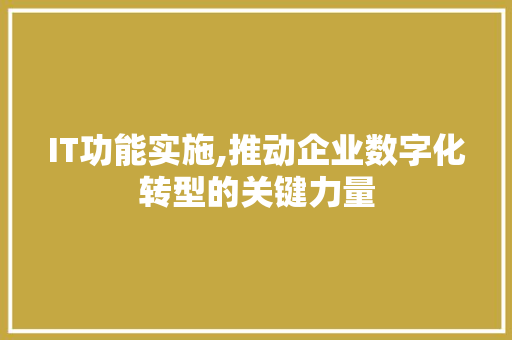 IT功能实施,推动企业数字化转型的关键力量 必应SEO