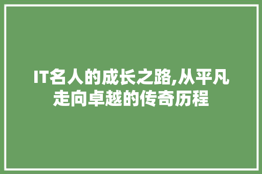 IT名人的成长之路,从平凡走向卓越的传奇历程 百度SEO