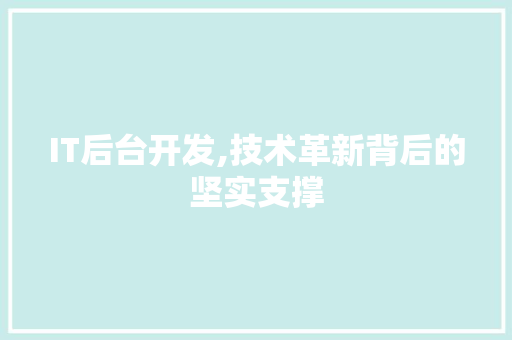 IT后台开发,技术革新背后的坚实支撑 神马SEO