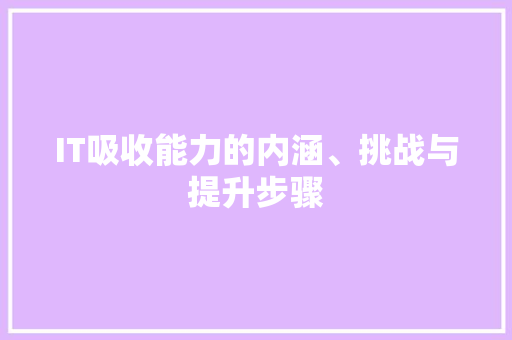 IT吸收能力的内涵、挑战与提升步骤 必应SEO