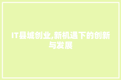 IT县城创业,新机遇下的创新与发展 百度SEO