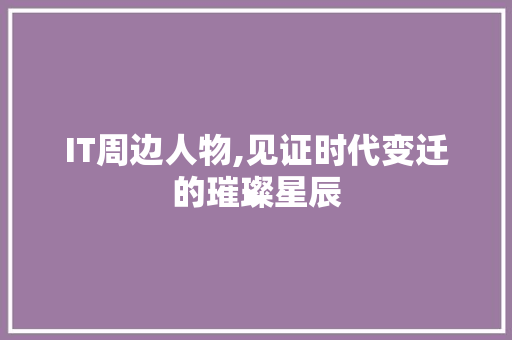 IT周边人物,见证时代变迁的璀璨星辰 网站建设公司