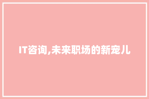 IT咨询,未来职场的新宠儿 SEO关键词