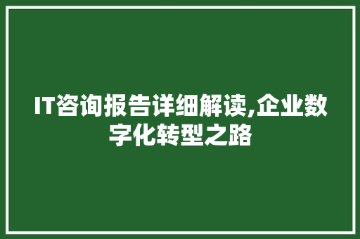 IT咨询报告详细解读,企业数字化转型之路 网站建设公司
