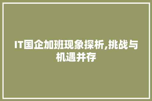 IT国企加班现象探析,挑战与机遇并存 神马SEO